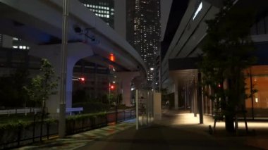 Tokyo Suları 2021 Mayıs 'ta gece görüşünü aldı.