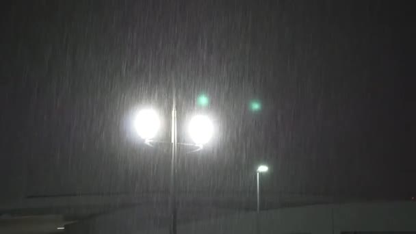 Heavy Rain Downpour Japão Tóquio — Vídeo de Stock