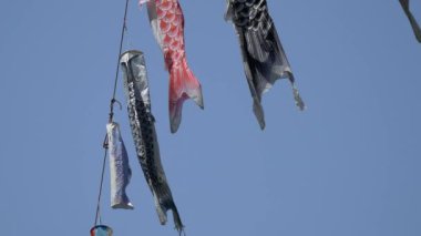 Japon kültür sazanı Koinobori.