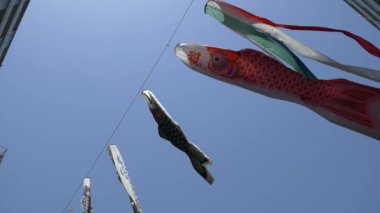 Japon kültür sazanı Koinobori.