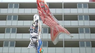 Japon kültür sazanı Koinobori.