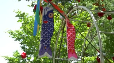 Japon kültür sazanı Koinobori.