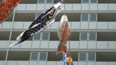 Japon kültür sazanı Koinobori.