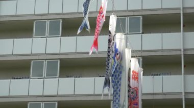 Japon kültür sazanı Koinobori.