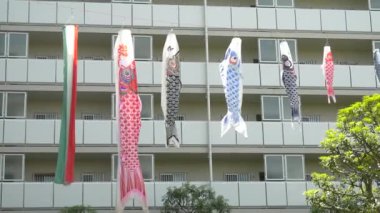 Japon kültür sazanı Koinobori.