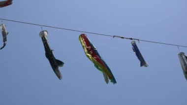 Japon kültür sazanı Koinobori.