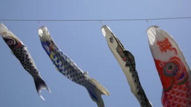 Japon kültür sazanı Koinobori.