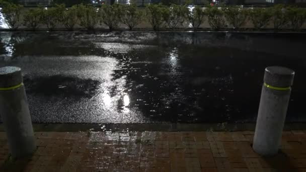 Heftiger Regenguss Japan Tokio — Stockvideo