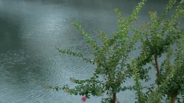 Heavy Rain Downpour Japán Tokió — Stock videók