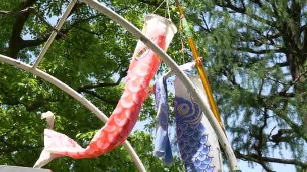 日本の文化鯉ストリーマー小猪木 — ストック動画