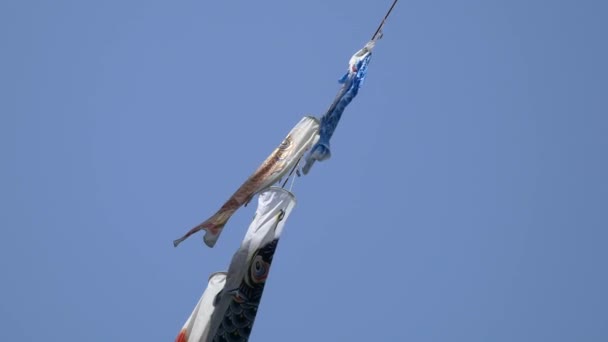 Corrente Carpa Cultura Japonesa Koinobori — Vídeo de Stock