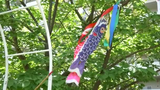 Japanische Kultur Karpfenschlange Koinobori — Stockvideo
