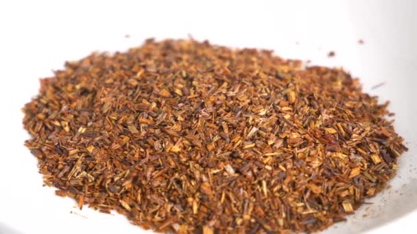 Rooibos Foglie Primo Piano Video Clip — Video Stock