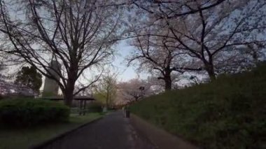 Tokyo Sarue Onshi Park Kiraz çiçekleri Bisiklet