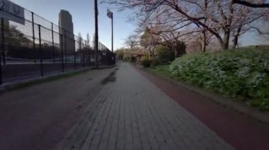 Tokyo Sarue Onshi Park Kiraz çiçekleri Bisiklet