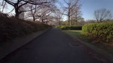 Tokyo Sarue Onshi Park Kiraz çiçekleri Bisiklet