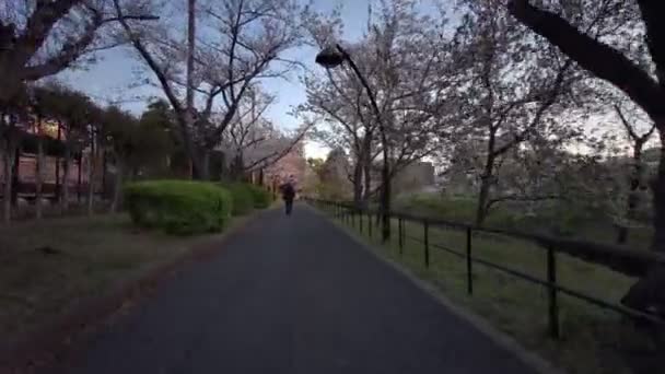 Tokyo Sarue Onshi Park Kersenbloesems Fietsen — Stockvideo