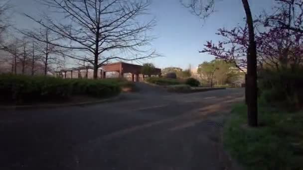 Tokyo Sarue Onshi Park Flores Cerezo Ciclismo — Vídeo de stock