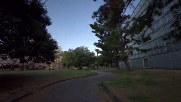 东京Sarue Onshi公园樱花骑自行车 — 图库视频影像