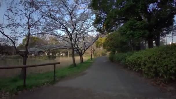 사루온 자전거타기 — 비디오
