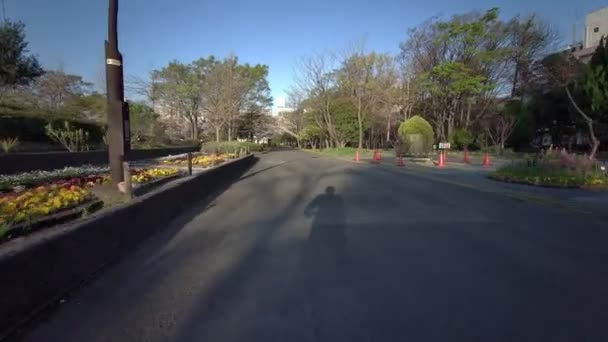 Tokio Sarue Onshi Park Kirschblüten Radfahren — Stockvideo