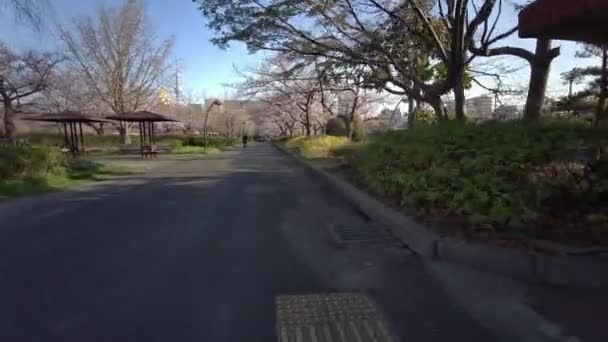Tokyo Sarue Onshi Park Cherry Blossoms Cycling — Stock Video