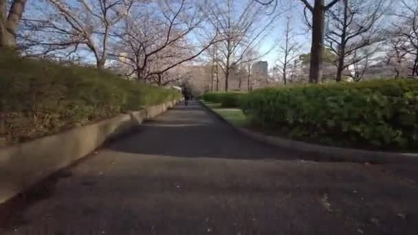 Tokyo Sarue Onshi Park Flores Cerezo Ciclismo — Vídeos de Stock