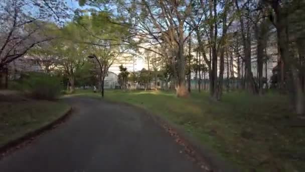 Tokyo Sarue Onshi Park Cherry Bsoms Cycling — стоковое видео