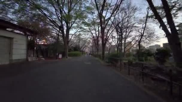 Tokyo Sarue Onshi Park Körsbär Blommor Cykling — Stockvideo