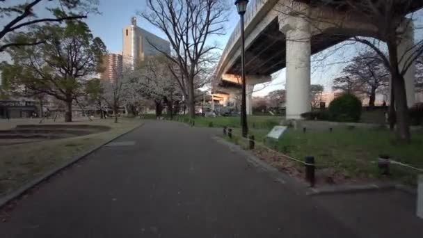 Tokyo Sumida Park Třešňové Květy Cyklistika 2021Jaro — Stock video