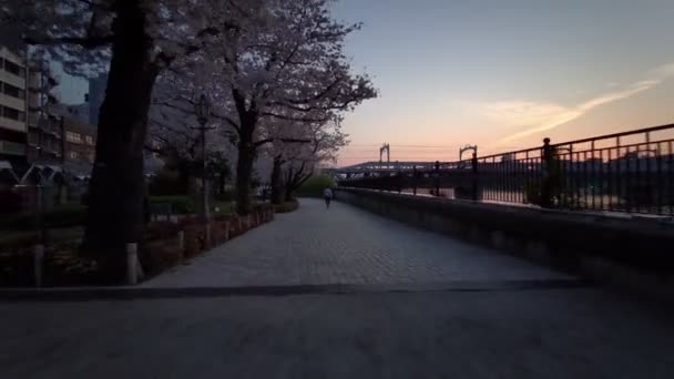 Tokyo Sumida Park Fleurs Cerisier Cyclisme 2021Printemps — Video