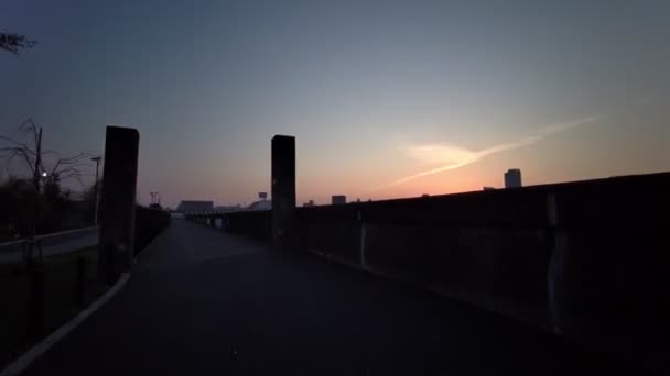 Tokyo Sumida Park Cherry Blossoms Cycling 2021Spring — Stock Video