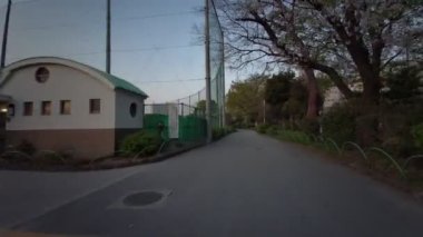 Tokyo Sumida Park Kiraz Çiçekleri 2021 Baharı Bisiklet Çiçekleri