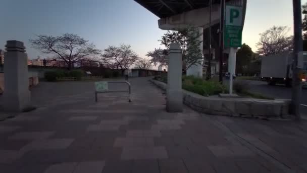 Tokyo Sumida Park Kirschblüten Radfahren 2021Frühling — Stockvideo