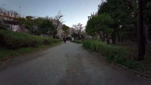 Tokyo Sumida Park Flores Cerezo Ciclismo 2021Primavera — Vídeos de Stock