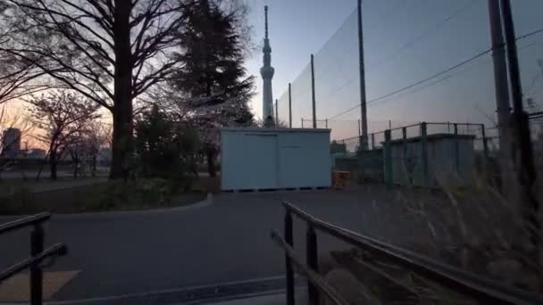 Tokio Sumida Park Kersenbloesems Fietsen 2021Voorjaar — Stockvideo