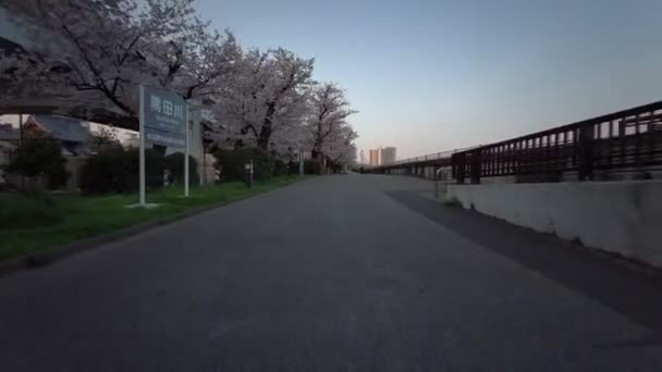 Tokyo Sumida Park Flores Cerezo Ciclismo 2021Primavera — Vídeo de stock