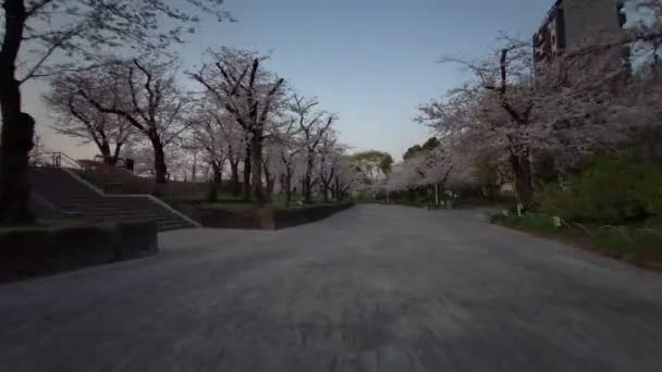 도쿄스미다 2021Spring — 비디오
