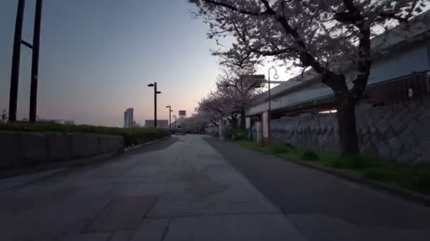 Tokio Sumida Park Kersenbloesems Fietsen 2021Voorjaar — Stockvideo