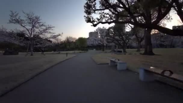 Tokyo Sumida Park Fleurs Cerisier Cyclisme 2021Printemps — Video