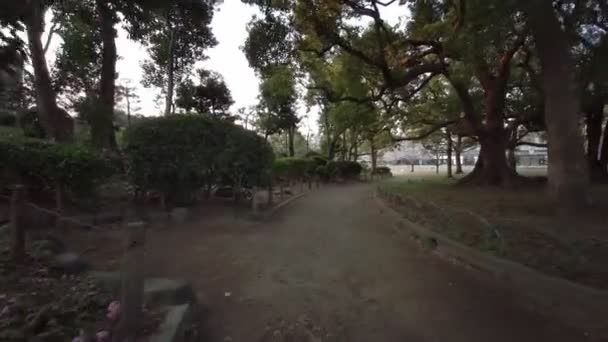 Tokyo Sumida Park Flores Cerezo Ciclismo 2021Primavera — Vídeo de stock