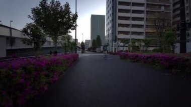 Tokyo Shinkoiwa Sabah Bisikleti