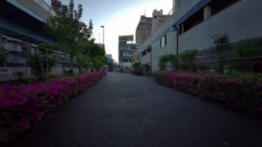 Tokyo Shinkoiwa Sabah Bisikleti