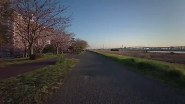 Tokio Komatsugawa Senbonzakura Flores Cerezo Ciclismo — Vídeos de Stock