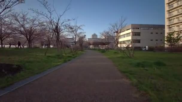 Tokio Komatsugawa Senbonzakura Kersenbloesems Fietsen — Stockvideo