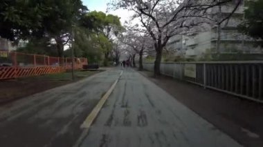 Tokyo Sendaiborigawa Park Kiraz çiçekleri Bisiklet