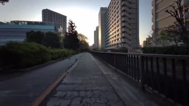 Tokio Sendaiborigawa Park Kirschblüten Radfahren — Stockvideo