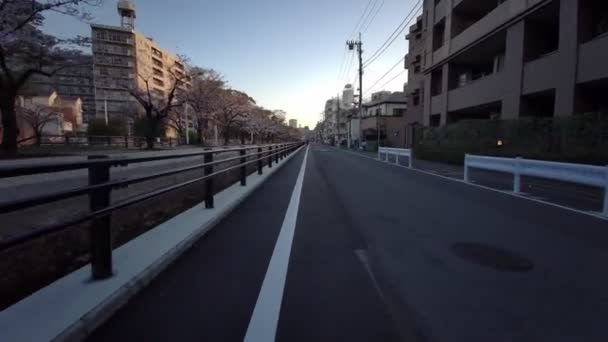 Tokio Sendaiborigawa Park Kirschblüten Radfahren — Stockvideo