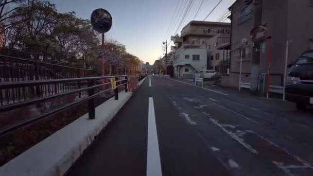 Τόκιο Πάρκο Sendaiborigawa Άνθη Κερασιάς Ποδηλασία — Αρχείο Βίντεο