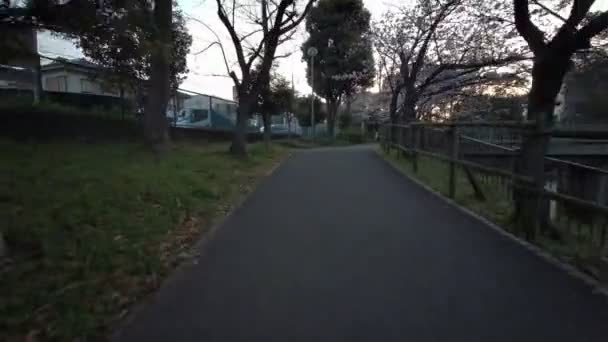 Tokyo Sendaiborigawa Park Flores Cerezo Ciclismo — Vídeo de stock